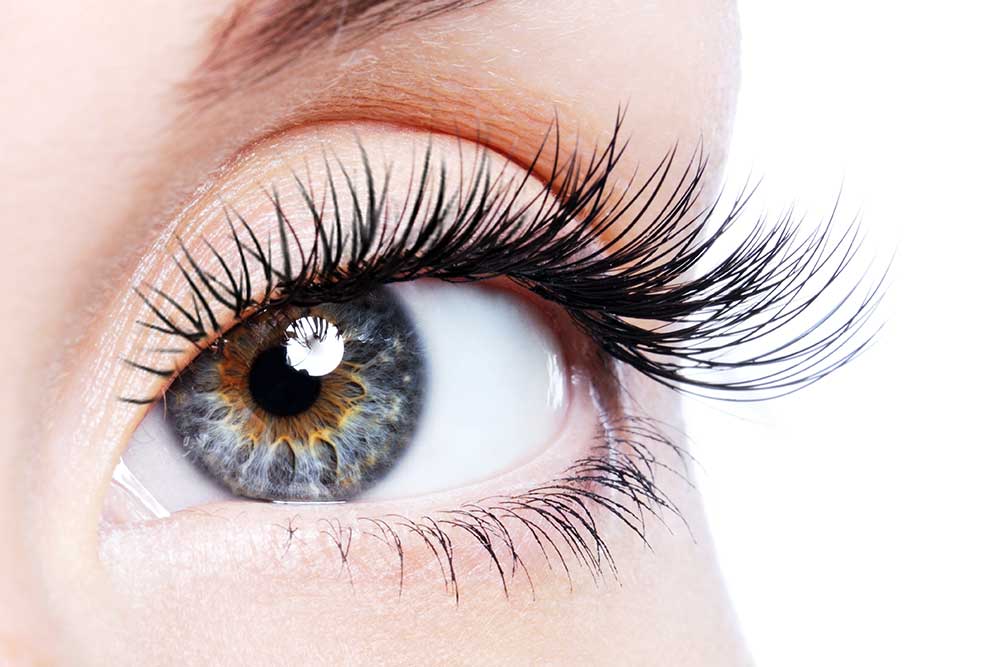 eye lash services